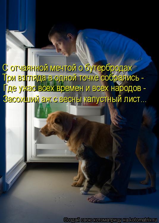 С отчаянной мечтой о бутербродах Три взгляда в одной точке собрались - Где ужас всех времен и всех на... Котоматрица: С отчаянной мечтой о бутербродах Три взгляда в одной точке собрались - Где ужас всех времен и всех народов - Засохший аж с весны капустный ли