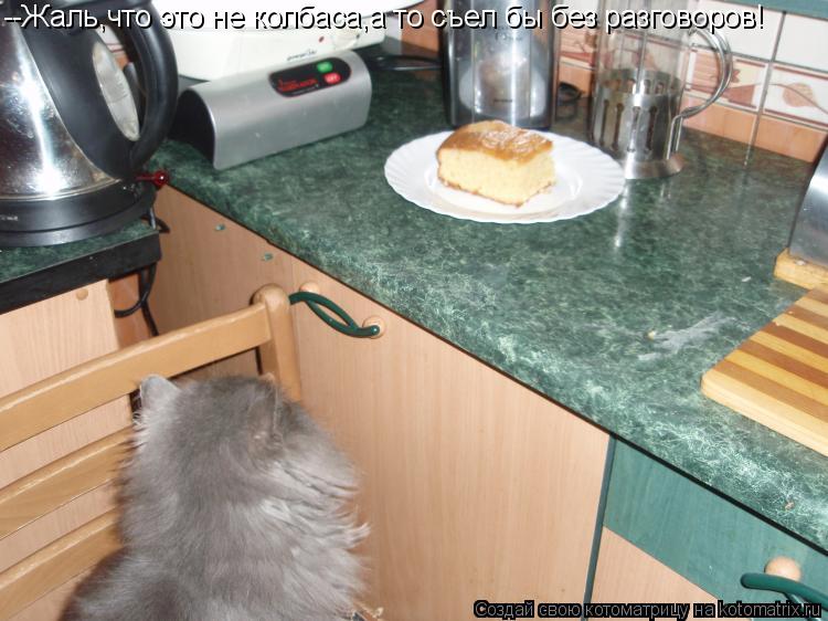 Котоматрица: --Жаль,что это не колбаса,а то съел бы без разговоров!