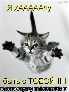 Я хАААААчу быть с ТОБОЙ!!!!!... Котоматрица: Я хАААААчу быть с ТОБОЙ!!!!!