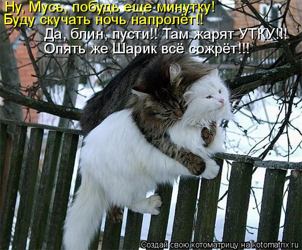 Ну, Мусь, побудь еще минутку! Буду скучать ночь напролёт!! Да, блин, пусти!! Там жарят УТКУ!!! Опять ... Котоматрица: Ну, Мусь, побудь еще минутку! Буду скучать ночь напролёт!! Да, блин, пусти!! Там жарят УТКУ!!! Опять же Шарик всё сожрёт!!!