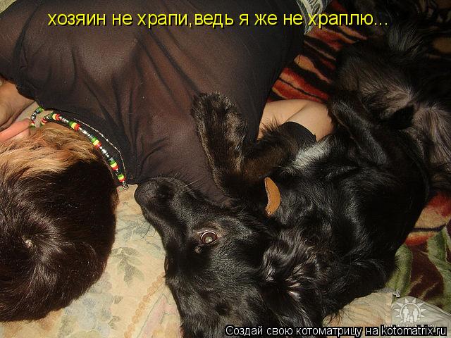 хозяин не храпи,ведь я же не храплю...... Котоматрица: хозяин не храпи,ведь я же не храплю...