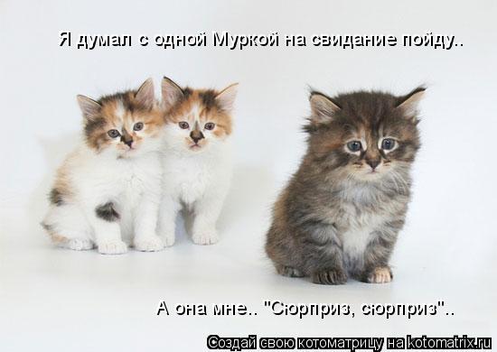 Я думал с одной Муркой на свидание пойду.. А она мне.. "Сюрприз, сюрприз"..... Котоматрица: Я думал с одной Муркой на свидание пойду.. А она мне.. "Сюрприз, сюрприз"..