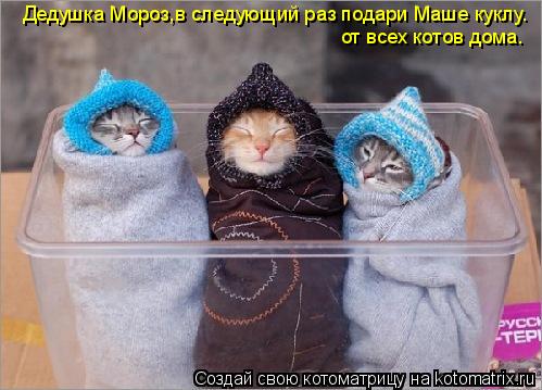 Дедушка Мороз,в следующий раз подари Маше куклу. от всех котов дома.... Котоматрица: Дедушка Мороз,в следующий раз подари Маше куклу. от всех котов дома.