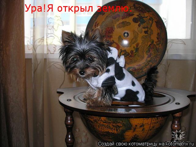 Ура!Я открыл землю.... Котоматрица: Ура!Я открыл землю.