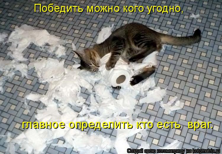 Котоматрица: Победить можно кого угодно,  главное определить кто есть  враг.