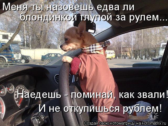 Котоматрица: Меня ты назовешь едва ли  блондинкой глупой за рулем... Наедешь - поминай, как звали! И не откупишься рублем!