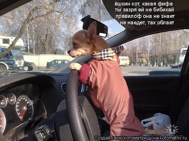 Котоматрица: ёшкин кот, какая фифа ты зазря ей не бибикай правилоф она не знает не наедет, так облает