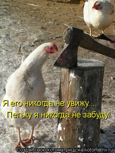 Котоматрица: Я его никогда не увижу.... Петьку я никогда не забуду!