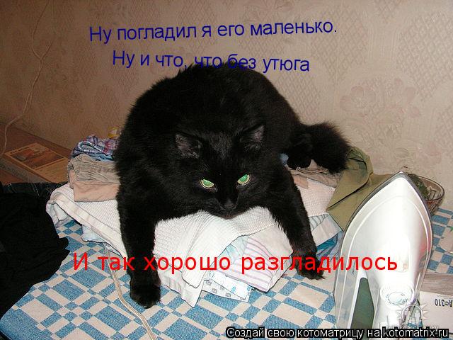 Котоматрица: Ну погладил я его маленько.... Ну погладил я его маленько. Ну и что, что без утюга И так хорошо разгладилось