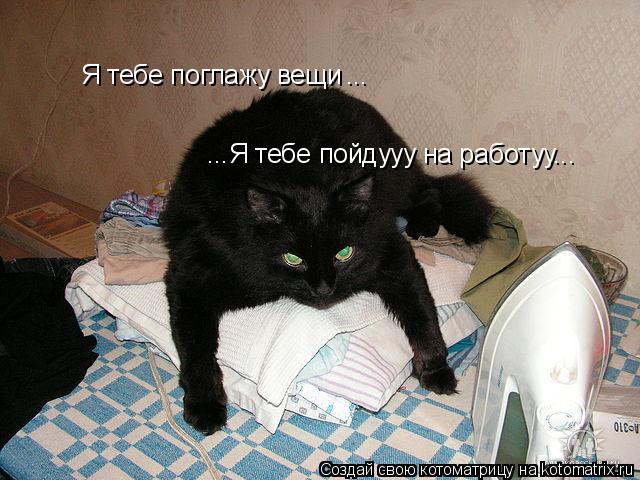 Котоматрица: Я тебе поглажу вещи ... ...Я тебе пойдууу на работуу...