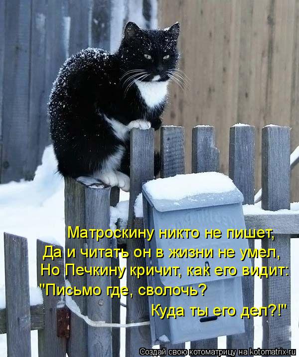 Котоматрица: Но Печкину кричит, как его видит: Да и читать он в жизни не умел, Матроскину никто не пишет, "Письмо где, сволочь? Куда ты его дел?!"