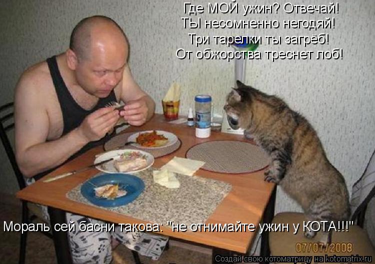 Котоматрица: Где МОЙ ужин? Отвечай! ТЫ несомненно негодяй! Три тарелки ты загрёб! От обжорства треснет лоб! Мораль сей басни такова: "не отнимайте ужин у К