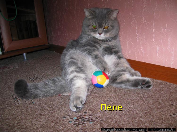 Котоматрица: Пеле