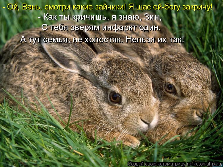 - Ой, Вань, смотри какие зайчики! Я щас ей-богу закричу! - Как ты кричишь, я знаю, Зин, С тебя звер... Котоматрица: - Ой, Вань, смотри какие зайчики! Я щас ей-богу закричу! - Как ты кричишь, я знаю, Зин, С тебя зверям инфаркт один. А тут семья; не холостяк. Нель