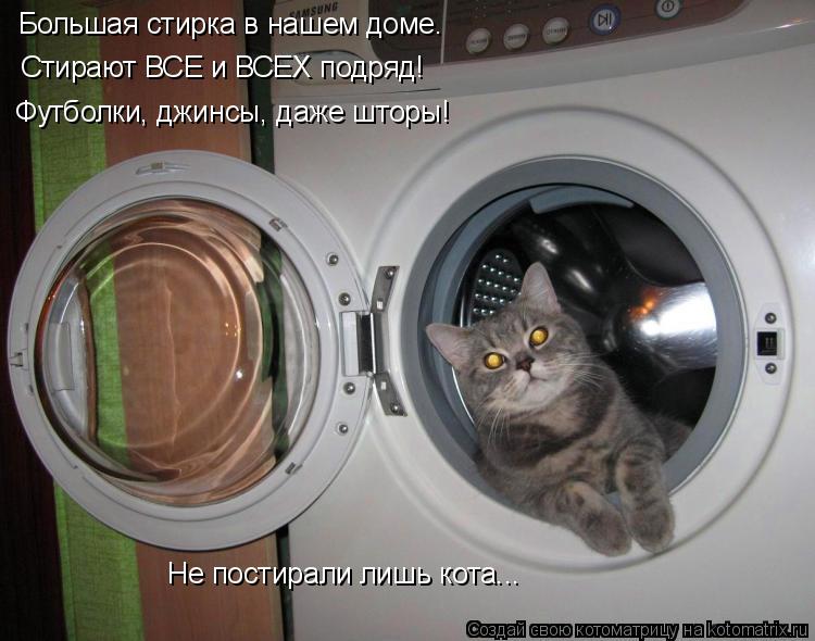 Котоматрица: Большая стирка в нашем доме. Стирают ВСЕ и ВСЕХ подряд! Футболки, джинсы, даже шторы! Не постирали лишь кота...