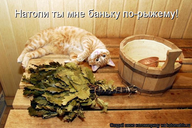 Натопи ты мне баньку по-рыжему!... Котоматрица: Натопи ты мне баньку по-рыжему!