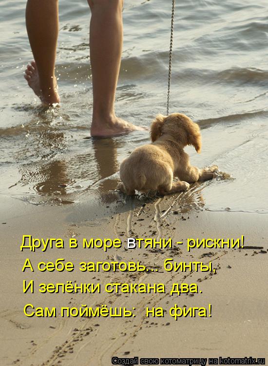 Друга в море тяни - рискни! в А себе заготовь….. бинты, И зелёнки стакана два. Сам поймёшь: на фиг... Котоматрица: Друга в море тяни - рискни! в А себе заготовь….. бинты, И зелёнки стакана два. Сам поймёшь: на фига!
