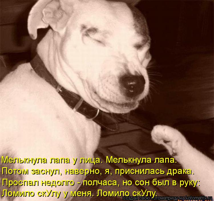 Котоматрица: Мелькнула лапа у лица. Мелькнула лапа. Потом заснул, наверно, я, приснилась драка. Проспал недолго - полчаса, но сон был в руку: Ломило скУлу у 