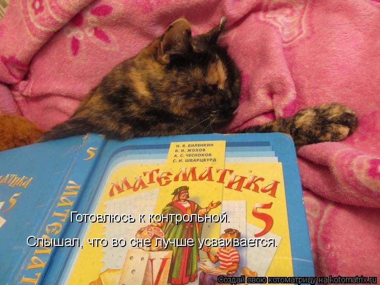Котоматрица: Готовлюсь к контрольной. Слышал, что во сне лучше усваивается.