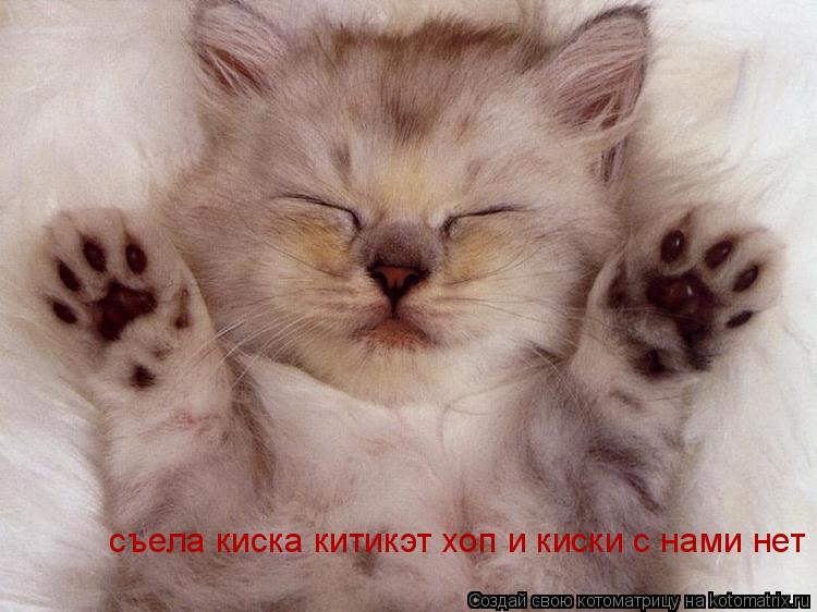 Котоматрица: съела киска китикэт хоп и киски с нами нет