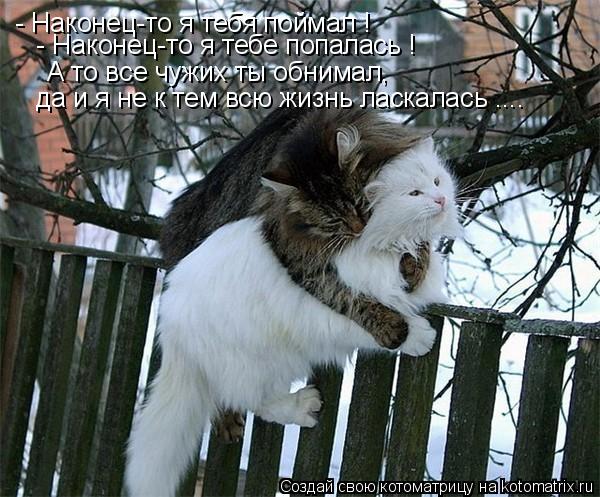 Котоматрица: - Наконец-то я тебя поймал ! - Наконец-то я тебе попалась ! А то все чужих ты обнимал, да и я не к тем всю жизнь ласкалась ....