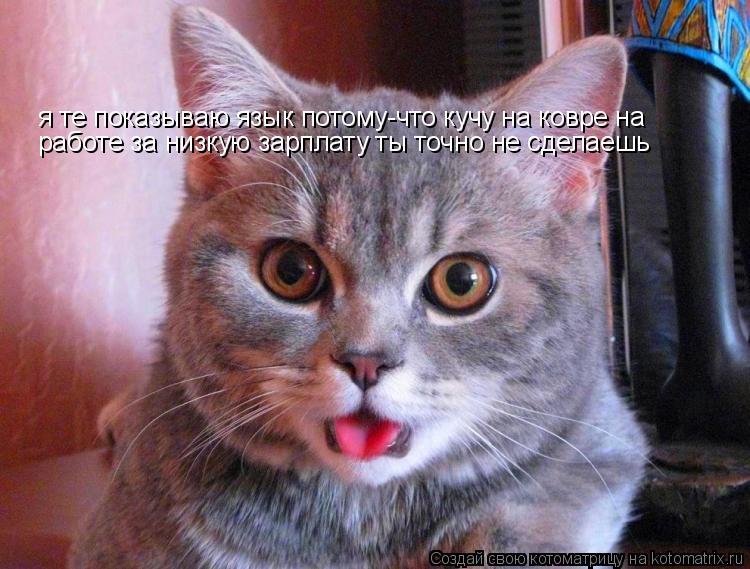Котоматрица: я те показываю язык потому-что кучу на ковре на работе за низкую зарплату ты точно не сделаешь
