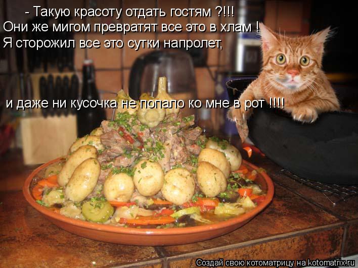Котоматрица: - Такую красоту отдать гостям ?!!! Они же мигом превратят все это в хлам ! Я сторожил все это сутки напролет, и даже ни кусочка не попало ко мне 