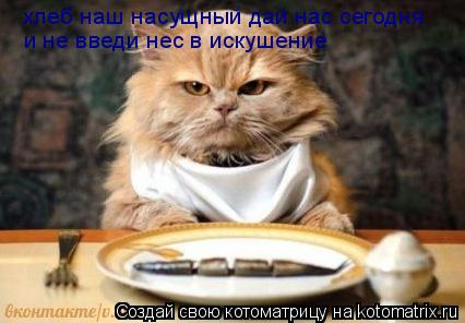 Котоматрица: хлеб наш насущный дай нас сегодня и не введи нес в искушение