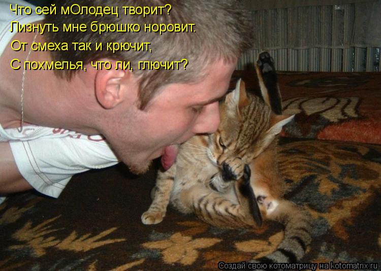 Котоматрица: Что сей мОлодец творит?  Лизнуть мне брюшко норовит. От смеха так и крючит, С похмелья, что ли, глючит?
