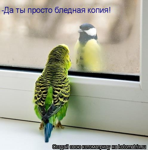 Котоматрица: -Да ты просто бледная копия!