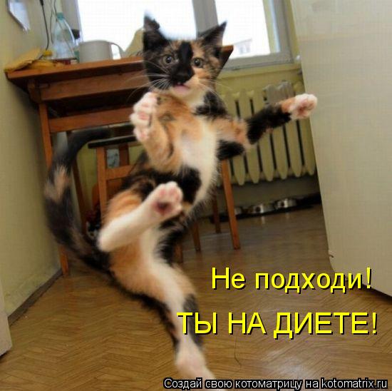 Котоматрица: Не подходи! ТЫ НА ДИЕТЕ!