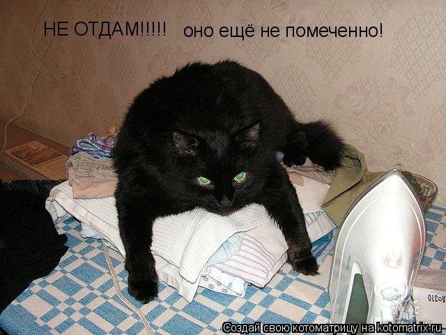 Котоматрица: НЕ ОТДАМ!!!!! оно ещё не помеченно!