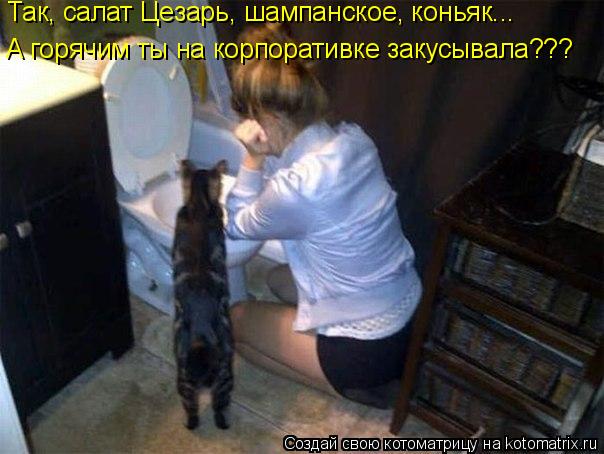 Котоматрица: Так, салат Цезарь, шампанское, коньяк...  А горячим ты на корпоративке закусывала???