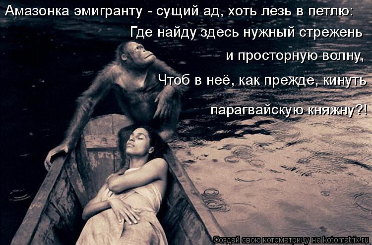 Котоматрица: Амазонка эмигранту - сущий ад, хоть лезь в петлю: Где найду здесь нужный стрежень и просторную волну, Чтоб в неё, как прежде, кинуть парагвайс