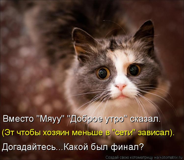 Вместо "Мяуу" "Доброе утро" сказал. (Эт чтобы хозяин меньше в "сети" зависал). Догадайтесь...Какой бы... Котоматрица: Вместо "Мяуу" "Доброе утро" сказал. (Эт чтобы хозяин меньше в "сети" зависал). Догадайтесь...Какой был финал?