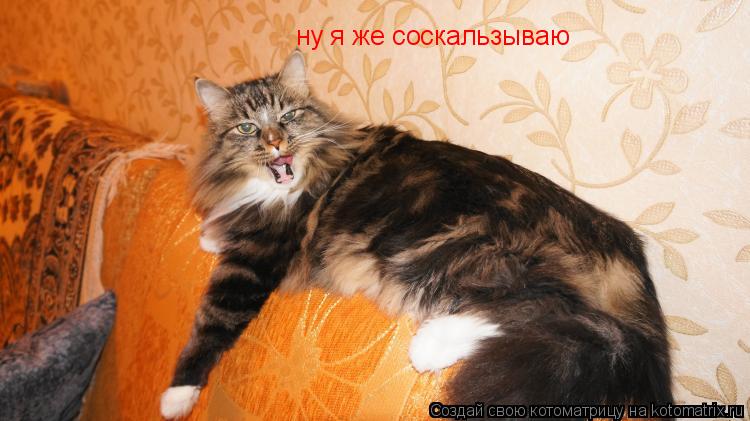 Котоматрица: ну я же соскальзываю