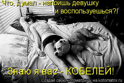 Котоматрица: Что, думал - напоишь девушку  и воспользуешься?! Знаю я вас - КОБЕЛЕЙ!