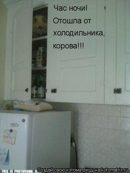 Котоматрица: Час ночи!  Отошла от  холодильника,  корова!!!