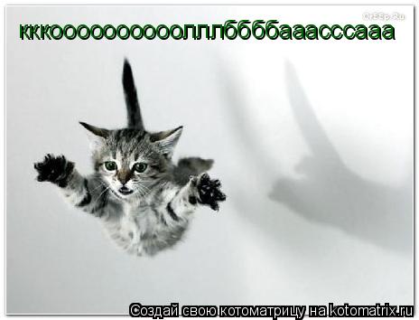 Котоматрица: кккоооооооооолллббббааасссааа
