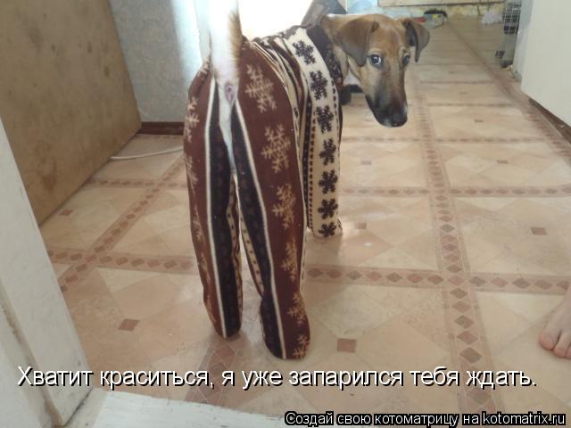 Котоматрица: Хватит краситься, я уже запарился тебя ждать.