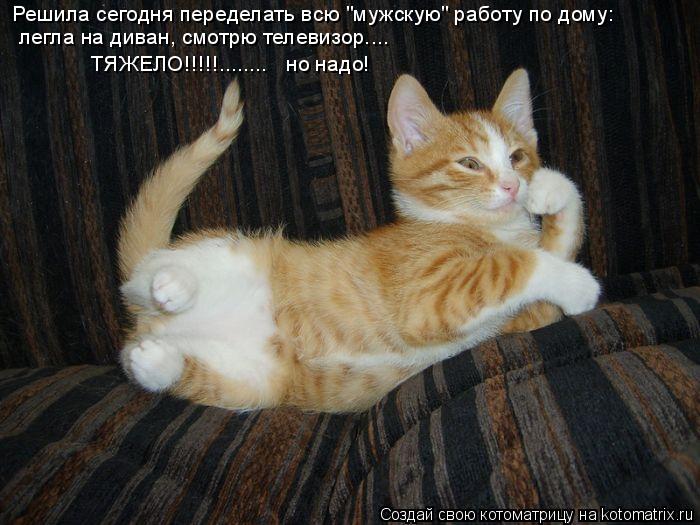 Котоматрица: Решила сегодня переделать всю "мужскую" работу по дому: легла на диван, смотрю телевизор.... ТЯЖЕЛО!!!!!........   но надо!