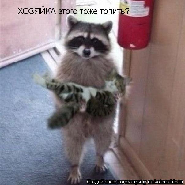 Котоматрица: ХОЗЯЙКА этого тоже топить?