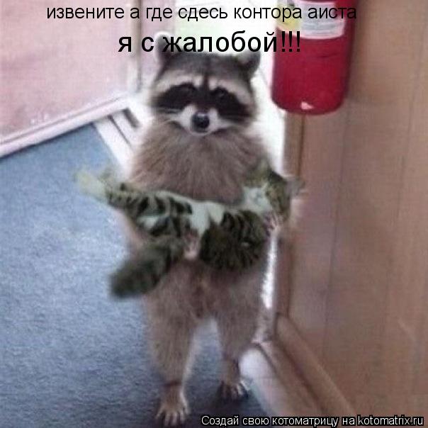 Котоматрица: извените а где сдесь контора аиста я с жалобой!!!