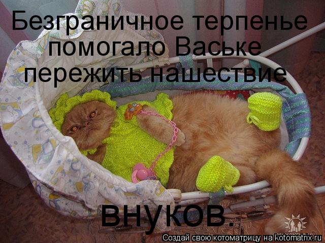 Котоматрица: Безграничное терпенье помогало Ваське пережить нашествие внуков.