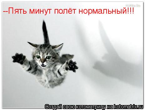 Котоматрица: --Пять минут полёт нормальный!!!