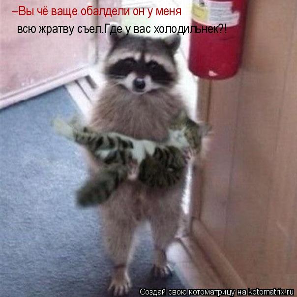 Котоматрица: --Вы чё ваще обалдели он у меня  всю жратву съел.Где у вас холодильнек?!