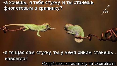 -а хочешь, я тебя стукну, и ты станешь фиолетовым в крапинку? -я тя щас сам стукну, ты у меня синим... Котоматрица: -а хочешь, я тебя стукну, и ты станешь фиолетовым в крапинку? -я тя щас сам стукну, ты у меня синим станешь... навсегда!