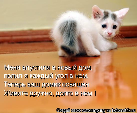 Меня впустили в новый дом, полил я каждый угол в нем. Теперь ваш домик освящен Живите дружно, долго в... Котоматрица: Меня впустили в новый дом, полил я каждый угол в нем. Теперь ваш домик освящен Живите дружно, долго в нем !