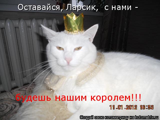 Оставайся, Ларсик, с нами - будешь нашим королем!!!... Котоматрица: Оставайся, Ларсик, с нами - будешь нашим королем!!!