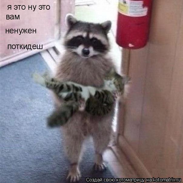 я это ну это вам ненужен поткидеш... Котоматрица: я это ну это вам ненужен поткидеш